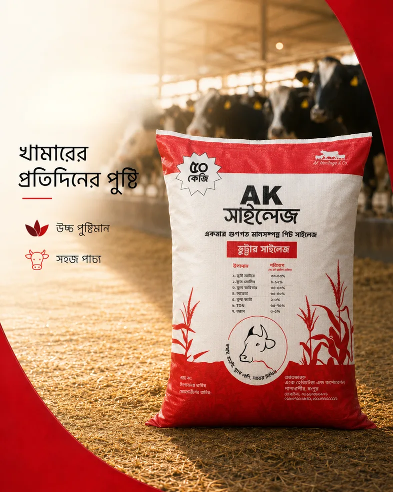 ডেইরি খামারে এ কে সাইলেজ
