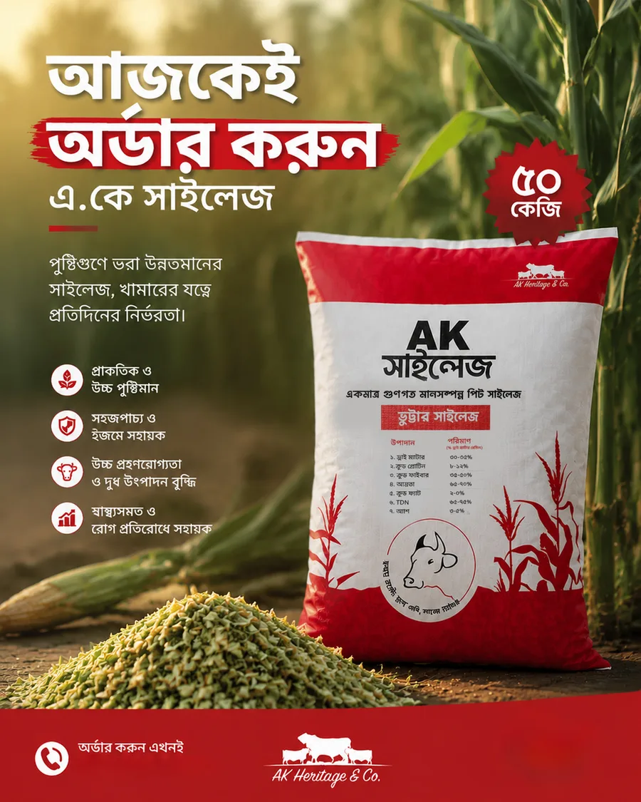 আজকেই অর্ডার করুন